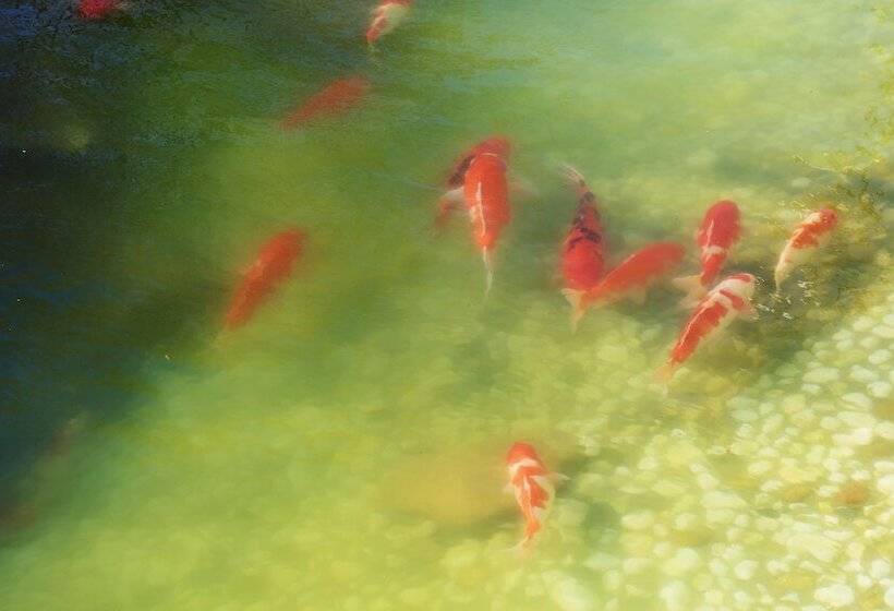 فندق Wyndham Qingdao