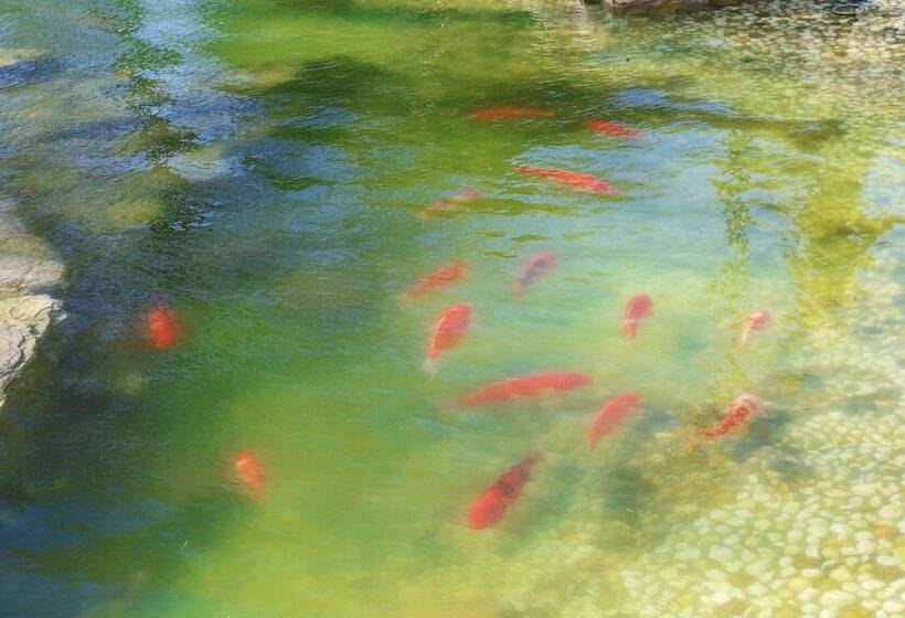 فندق Wyndham Qingdao