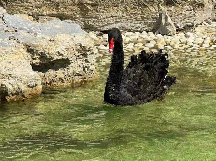 فندق Wyndham Qingdao