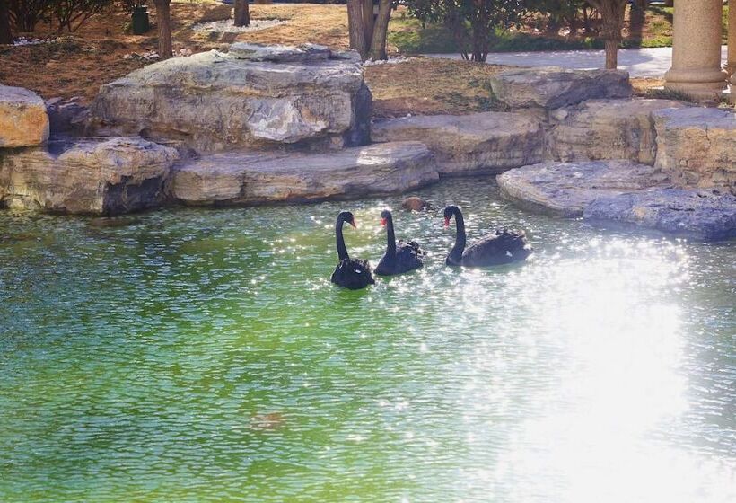 فندق Wyndham Qingdao