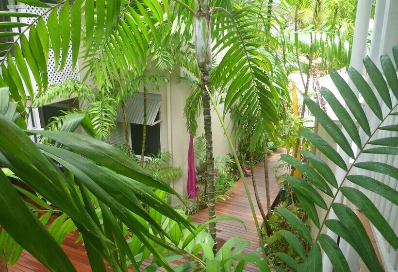 Palm Cove Tropic Apartments