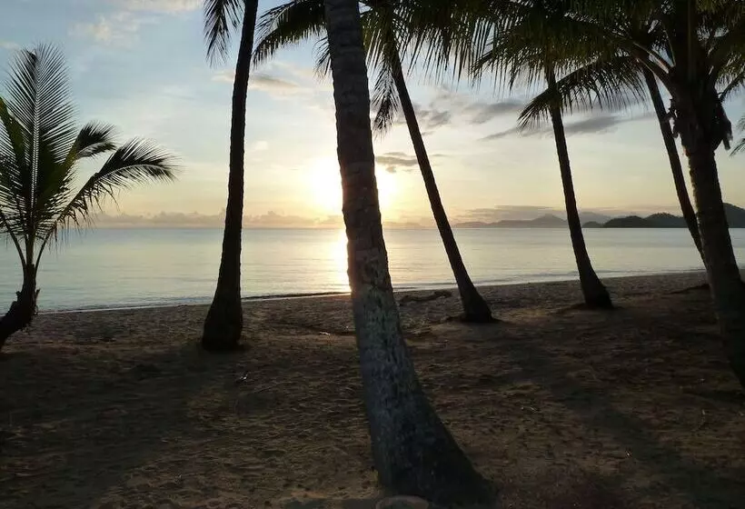 Palm Cove Tropic Apartments