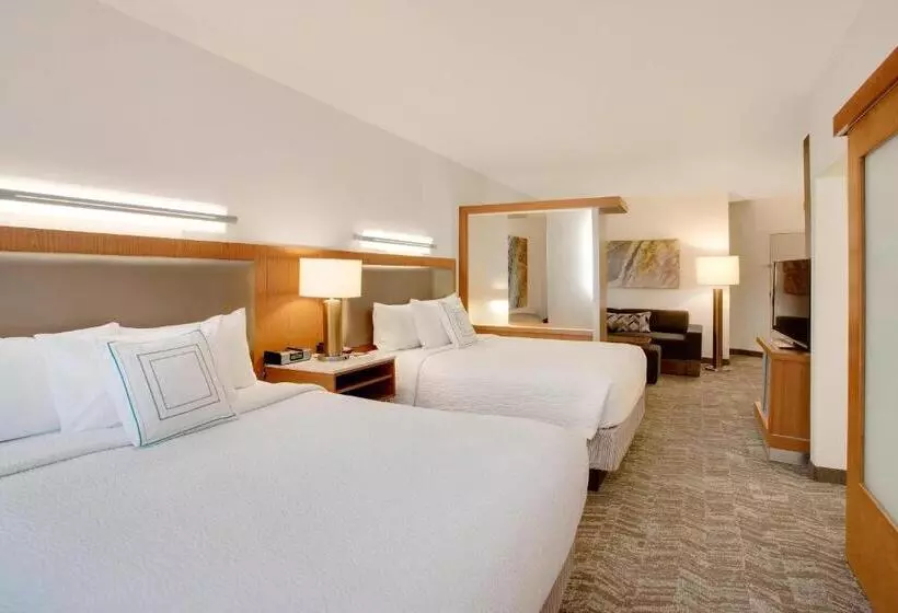 Springhill Suites Hartford Airport/windsor Locks