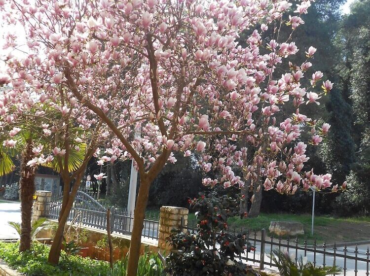 צימר Villa Kristina