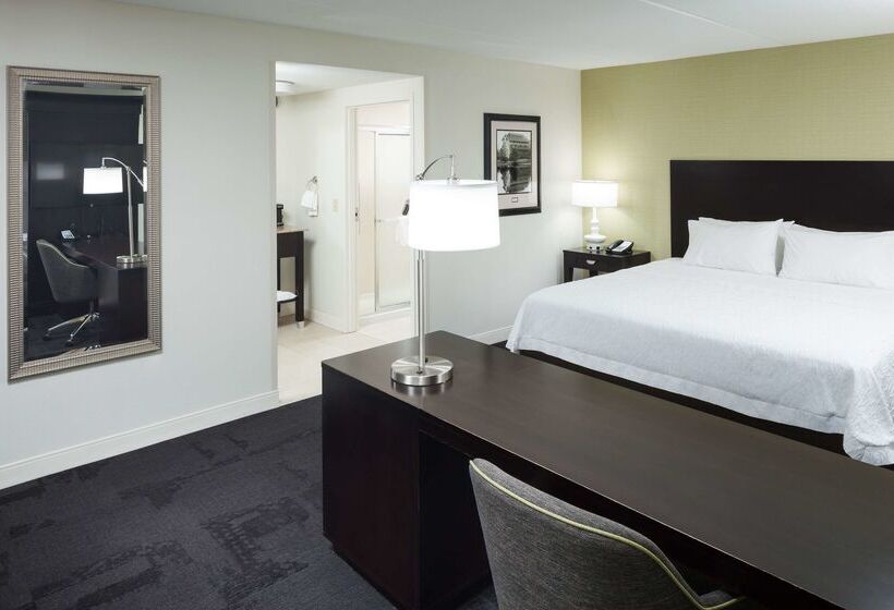 Hampton Inn & Suites Gainesvilledowntown