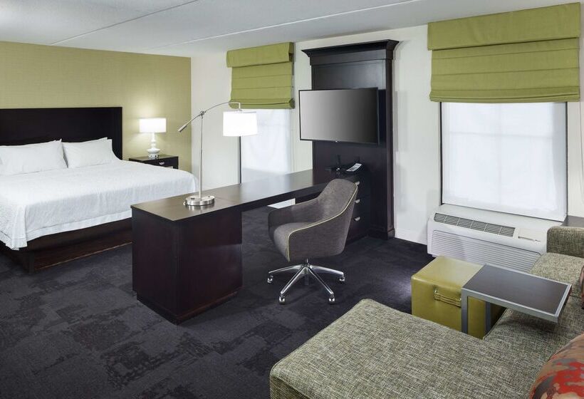Hampton Inn & Suites Gainesvilledowntown