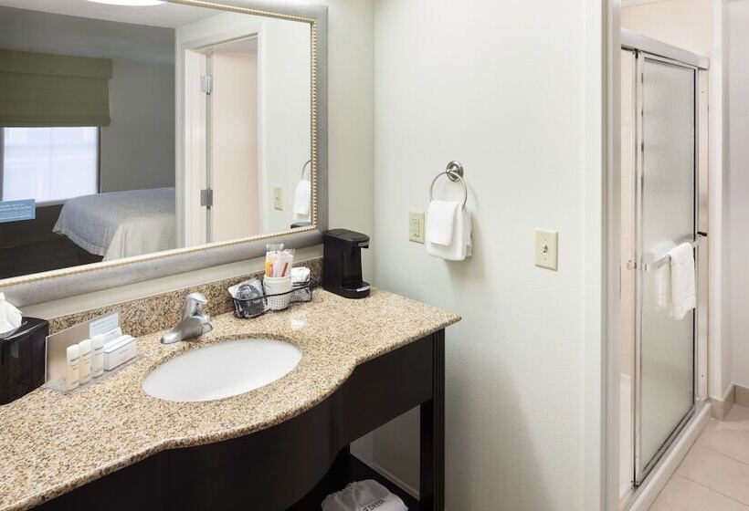 Hampton Inn & Suites Gainesvilledowntown
