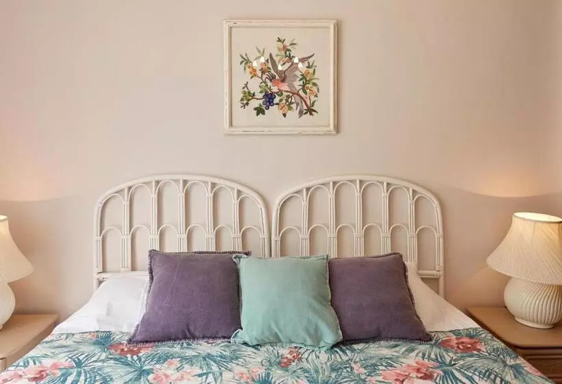 酒店 El Cid Country Club