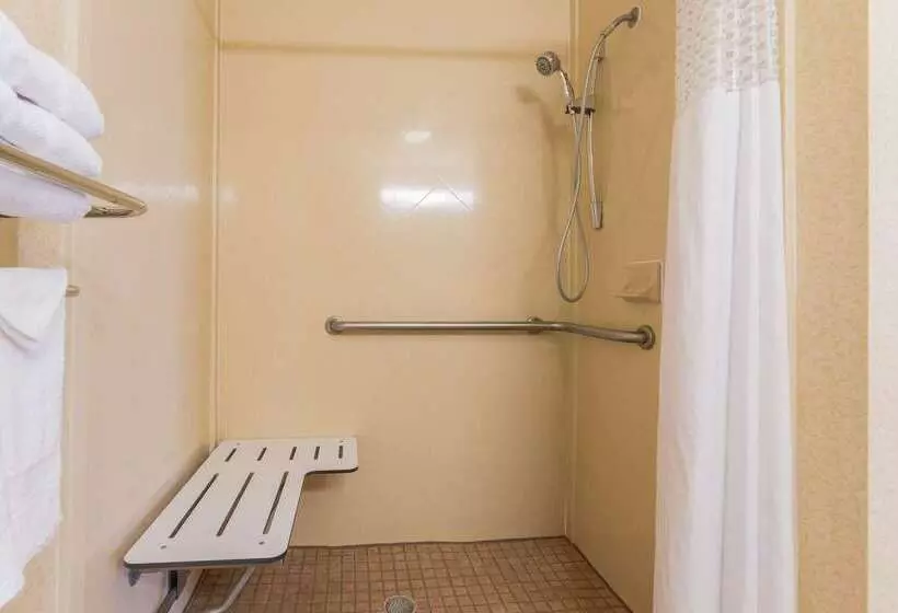 فندق Hampton Inn & Suites Las Cruces I 25