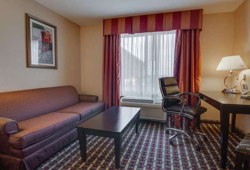 هتل Hampton Inn & Suites Las Cruces I 25