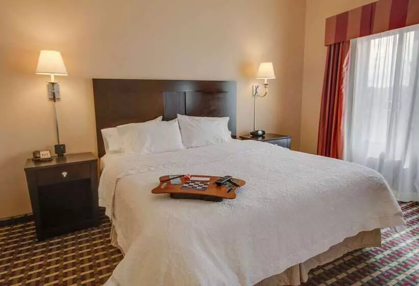 فندق Hampton Inn & Suites Las Cruces I 25