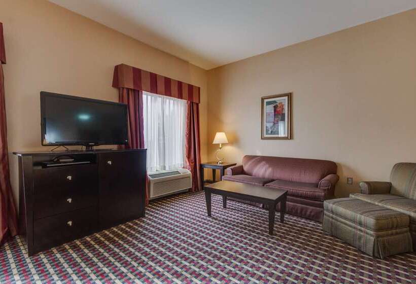 هتل Hampton Inn & Suites Las Cruces I 25