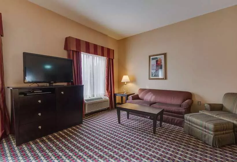 فندق Hampton Inn & Suites Las Cruces I 25