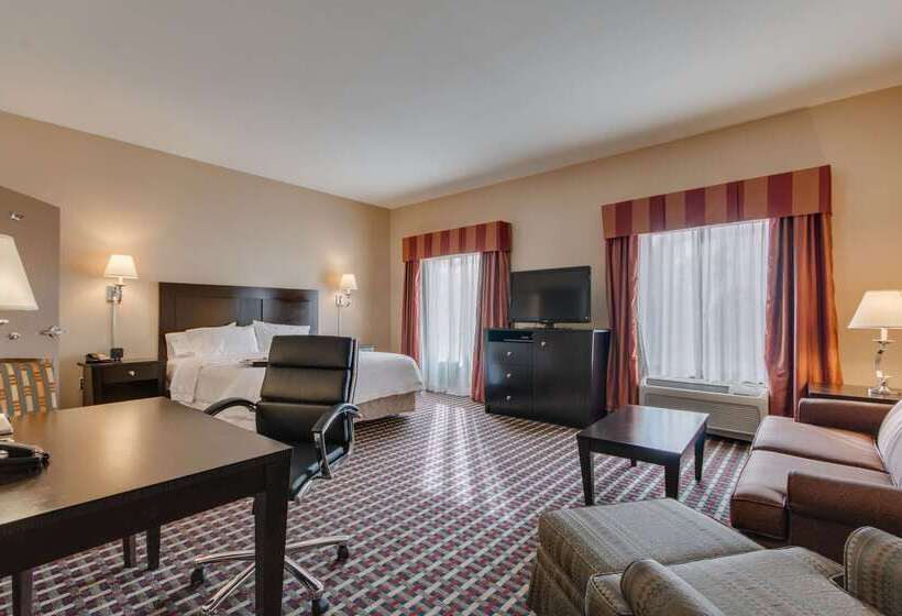 هتل Hampton Inn & Suites Las Cruces I 25