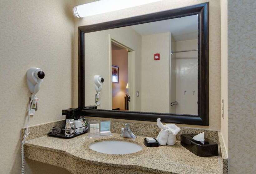 هتل Hampton Inn & Suites Las Cruces I 25