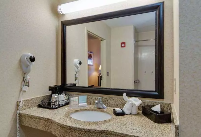 فندق Hampton Inn & Suites Las Cruces I 25