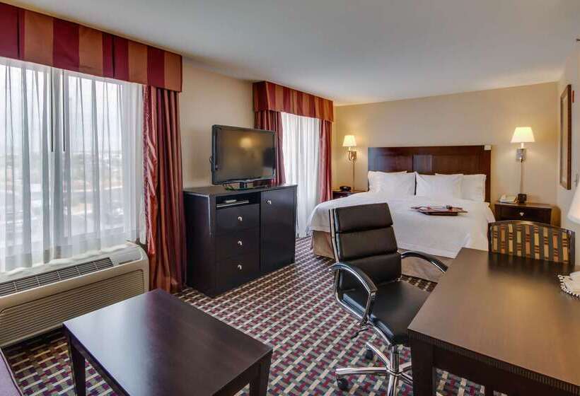 هتل Hampton Inn & Suites Las Cruces I 25
