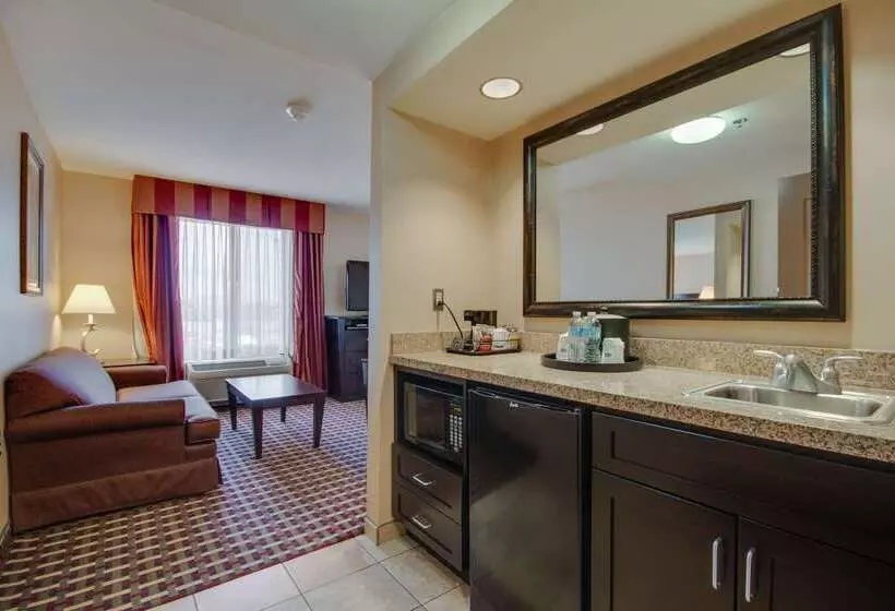 فندق Hampton Inn & Suites Las Cruces I 25