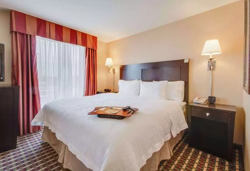فندق Hampton Inn & Suites Las Cruces I 25