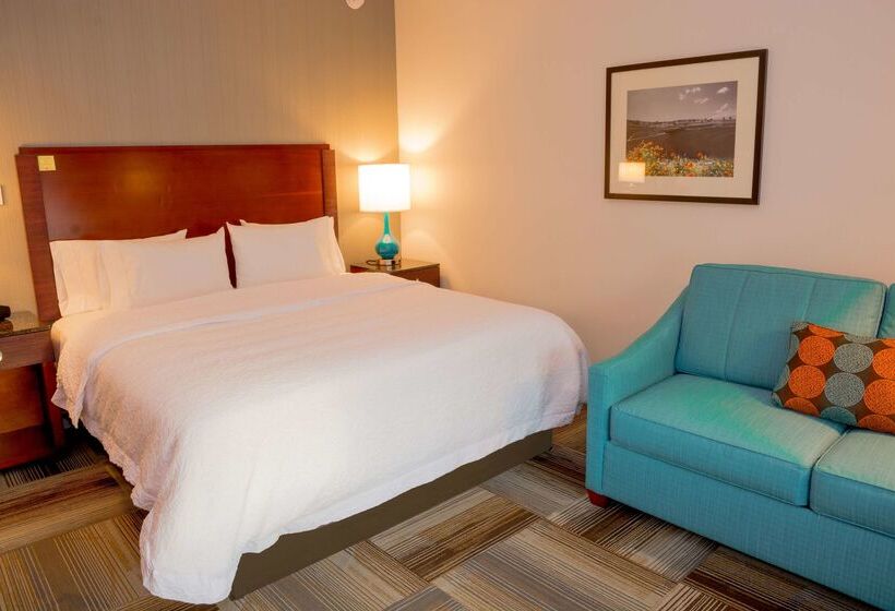 בית מלון כפרי Hampton Inn & Suites Riverside/corona East