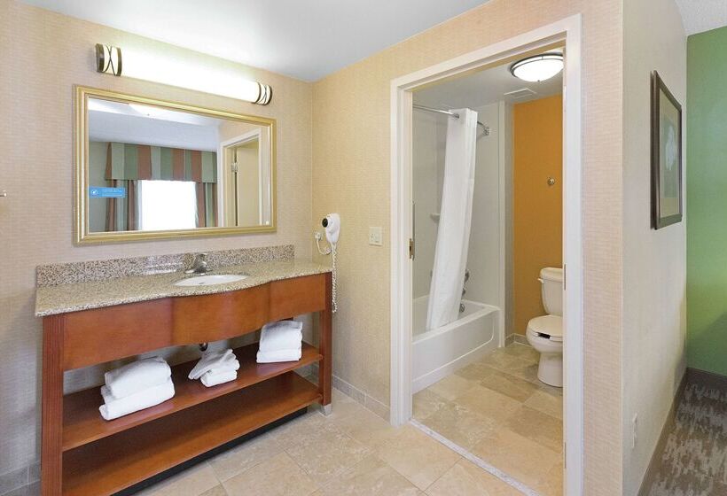 ホテル Hampton Inn & Suites Blairsville
