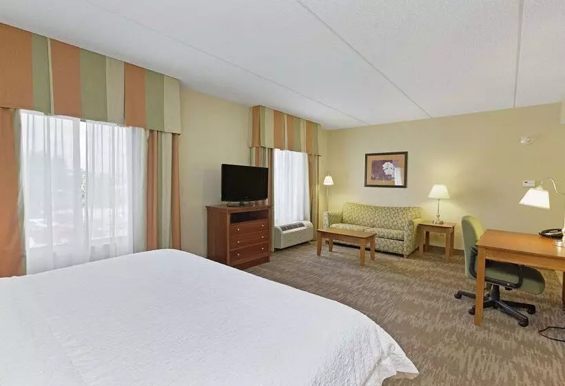 ホテル Hampton Inn & Suites Blairsville