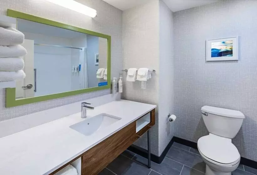 ホテル Hampton Inn & Suites Dallas I 30 Cockrell Hill