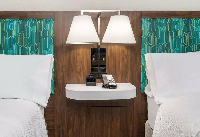 ホテル Hampton Inn & Suites Dallas I 30 Cockrell Hill