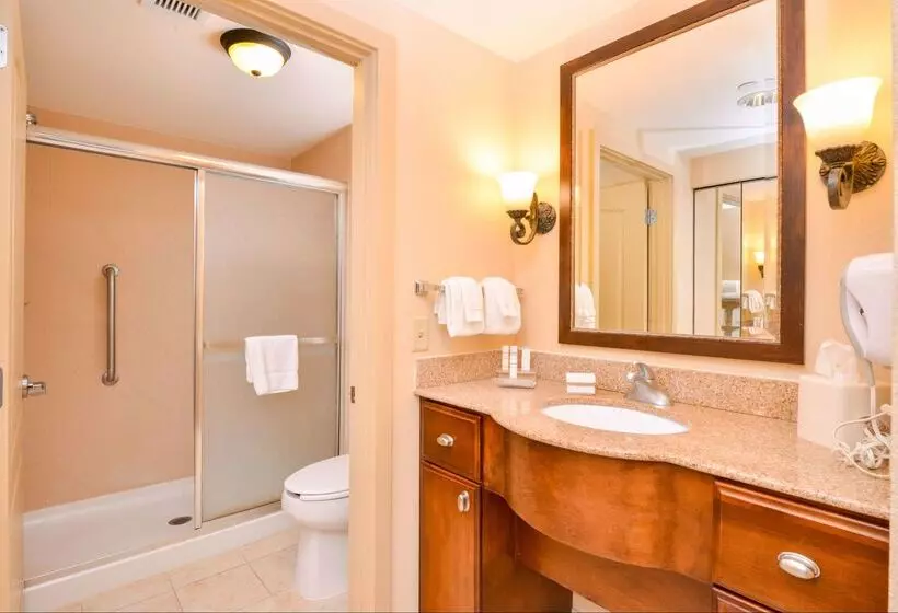 酒店 Homewood Suites By Hilton Dover