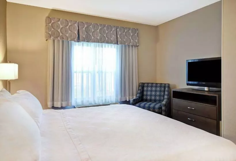 酒店 Homewood Suites By Hilton Dover