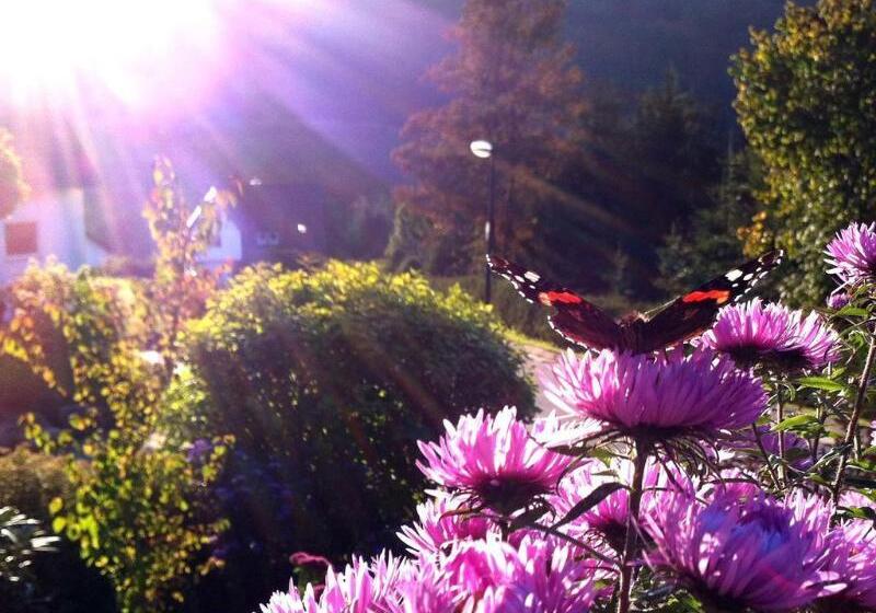 هتل Niedersfeld winterberg