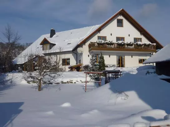 Отель Pension Grünes Herz