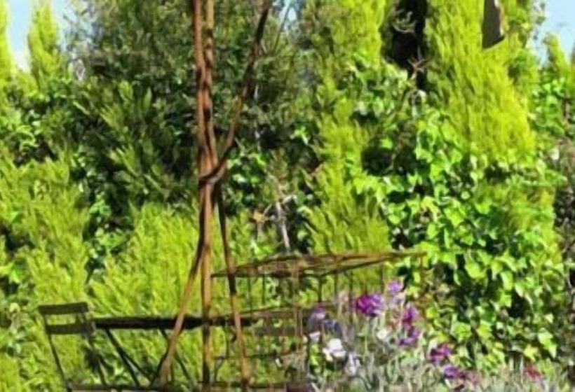 בית מלון כפרי Bisabuela Martina