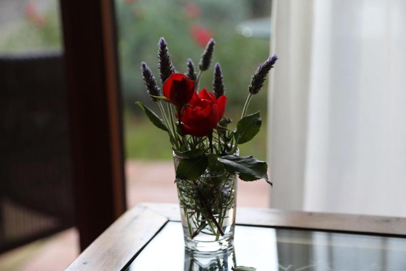 乡村酒店  Finca La Fronda