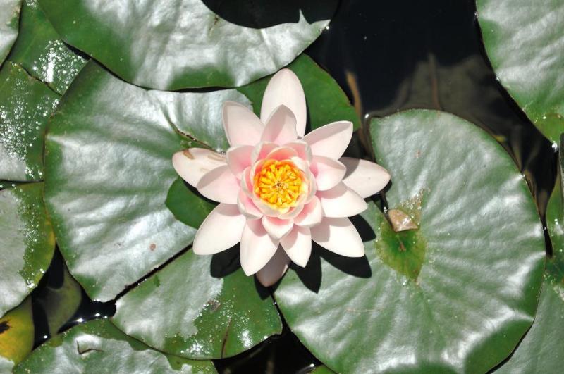 乡村酒店  Finca La Fronda