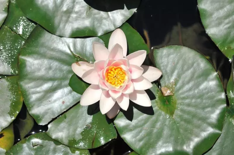 田舎風ホテル Finca La Fronda