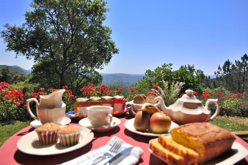 乡村酒店  Finca La Fronda