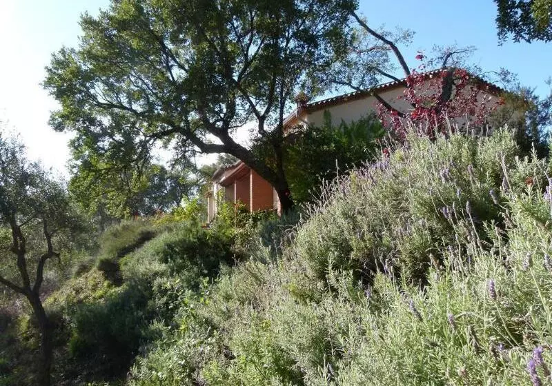 田舎風ホテル Finca La Fronda