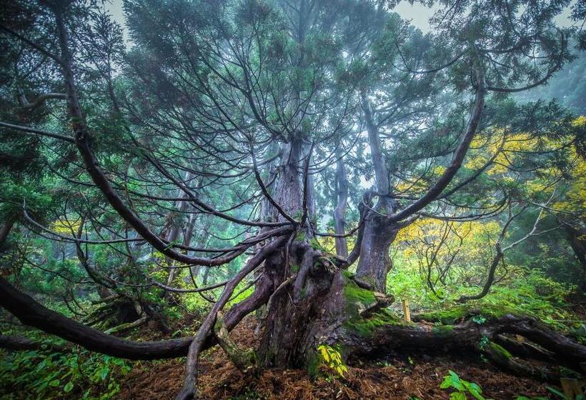 Sado Resort Hotel Azuma