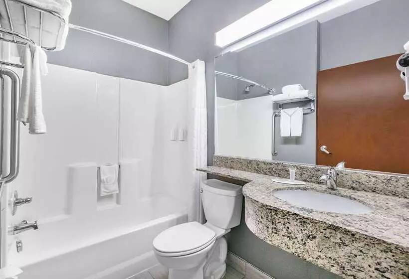 Microtel Inn & Suites By Wyndham Austin Airport