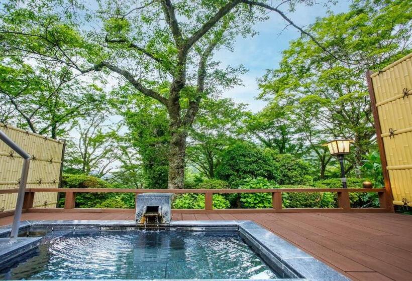 Hakone Kowakien Mikawaya Ryokan