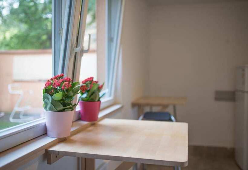 ホテル Bubu Hostel