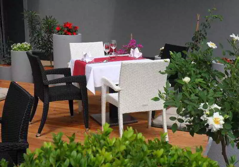 בית מלון כפרי Dream