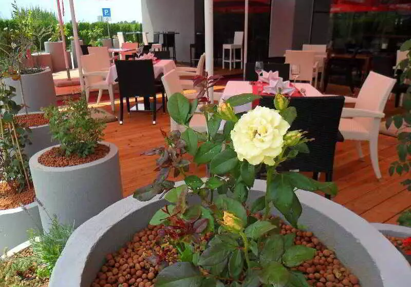 בית מלון כפרי Dream