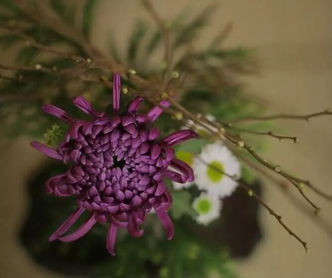 Hotel Yoshidaya Sannoukaku