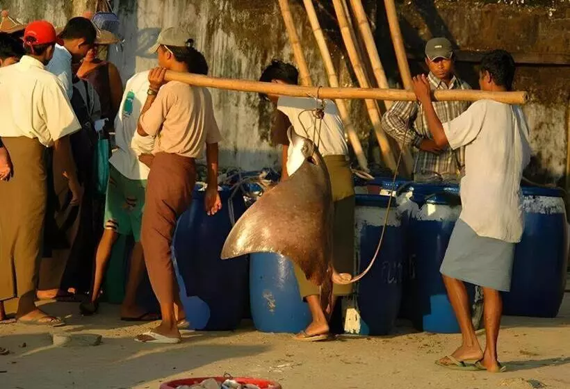 Amazing Ngapali Resort