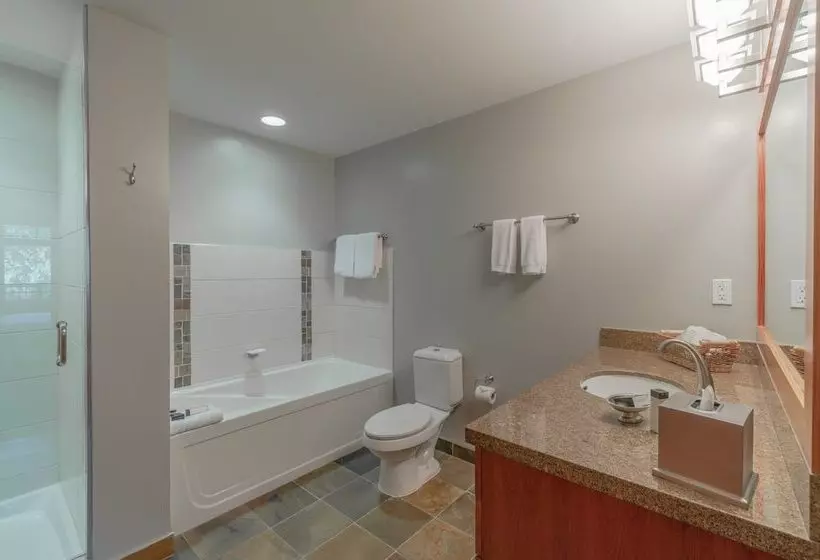 Capitol Peak Lodge By Snowmass Mountain Lodging