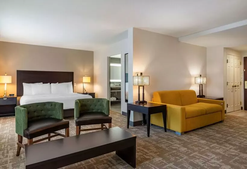 酒店 Best Western Plus Dalton Inn