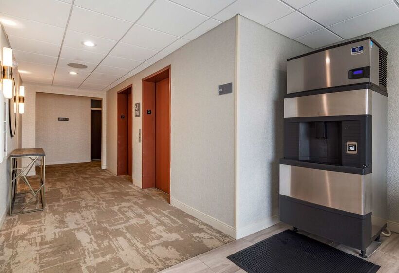 فندق Best Western Plus Dalton Inn