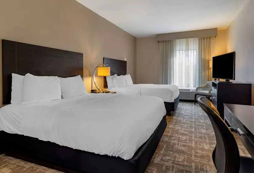 酒店 Best Western Plus Dalton Inn